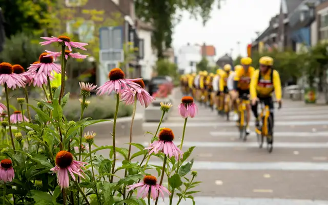 Behind the yellow jersey